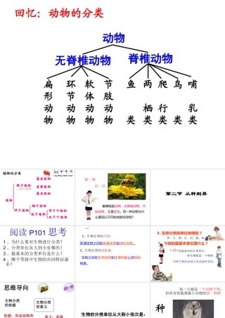 八年级生物上册 第一章 第二节 从种到界课件 （新版）新人教版