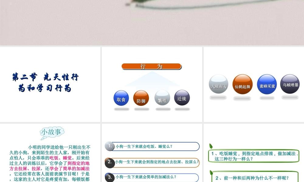 八年级生物上册 第五单元 生物圈中的其他生物 第二节 先天性行为和学习行为精品课件 人教新课标版