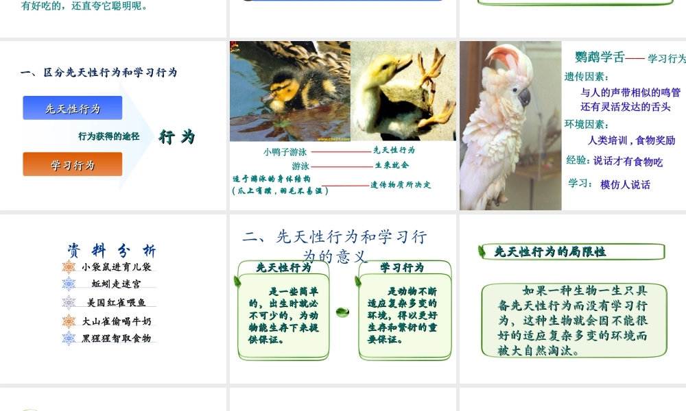 八年级生物上册 第五单元 生物圈中的其他生物 第二节 先天性行为和学习行为精品课件 人教新课标版