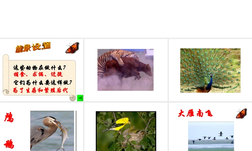 八年级生物上册 第5单元第2章第1节动物的运动课件 人教新课标版
