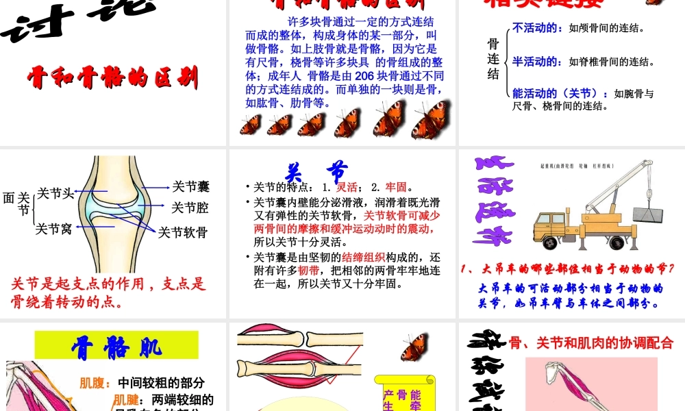 八年级生物上册 第5单元第2章第1节动物的运动课件 人教新课标版