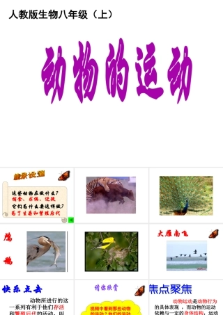 八年级生物上册 第5单元第2章第1节动物的运动课件 人教新课标版