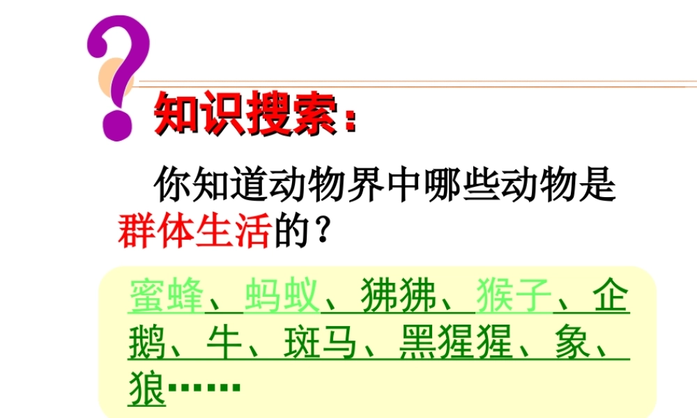 八年级生物上册 第5单元第2章第三节社会行为课件 人教新课标版