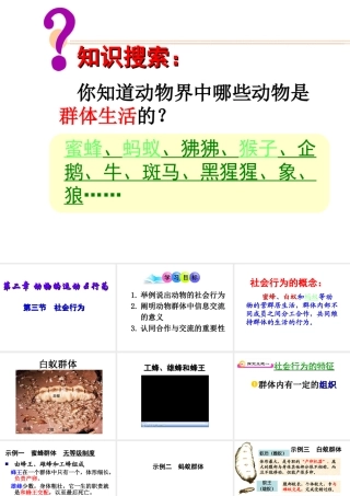八年级生物上册 第5单元第2章第三节社会行为课件 人教新课标版