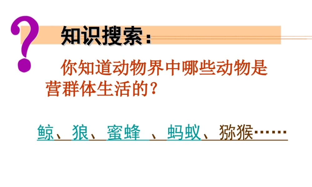 八年级生物上册 第5单元第3节社会行为课件 人教新课标版
