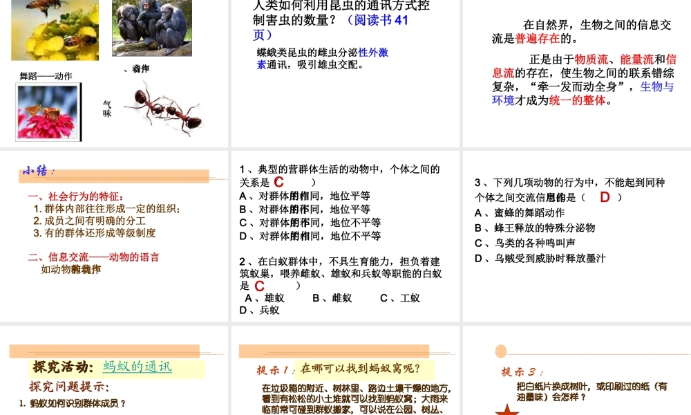 八年级生物上册 第5单元第3节社会行为课件 人教新课标版