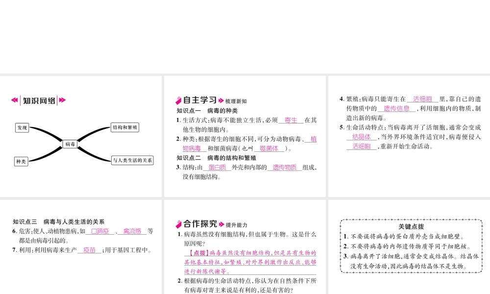 八年级生物上册 第5章 病毒作业课件 （新版）新人教版-（新版）新人教版初中八年级上册生物课件