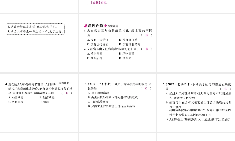 八年级生物上册 第5章 病毒作业课件 （新版）新人教版-（新版）新人教版初中八年级上册生物课件