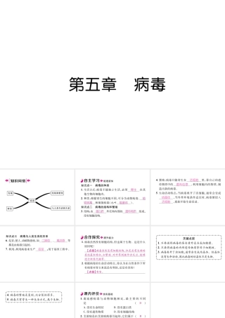 八年级生物上册 第5章 病毒作业课件 （新版）新人教版-（新版）新人教版初中八年级上册生物课件