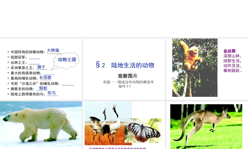八年级生物上册 第一章 第二节《陆地生活的动物》课件 新人教版