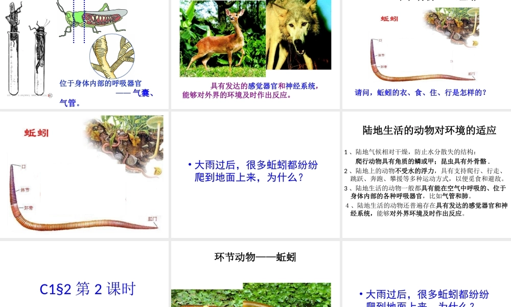 八年级生物上册 第一章 第二节《陆地生活的动物》课件 新人教版