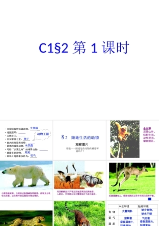 八年级生物上册 第一章 第二节《陆地生活的动物》课件 新人教版