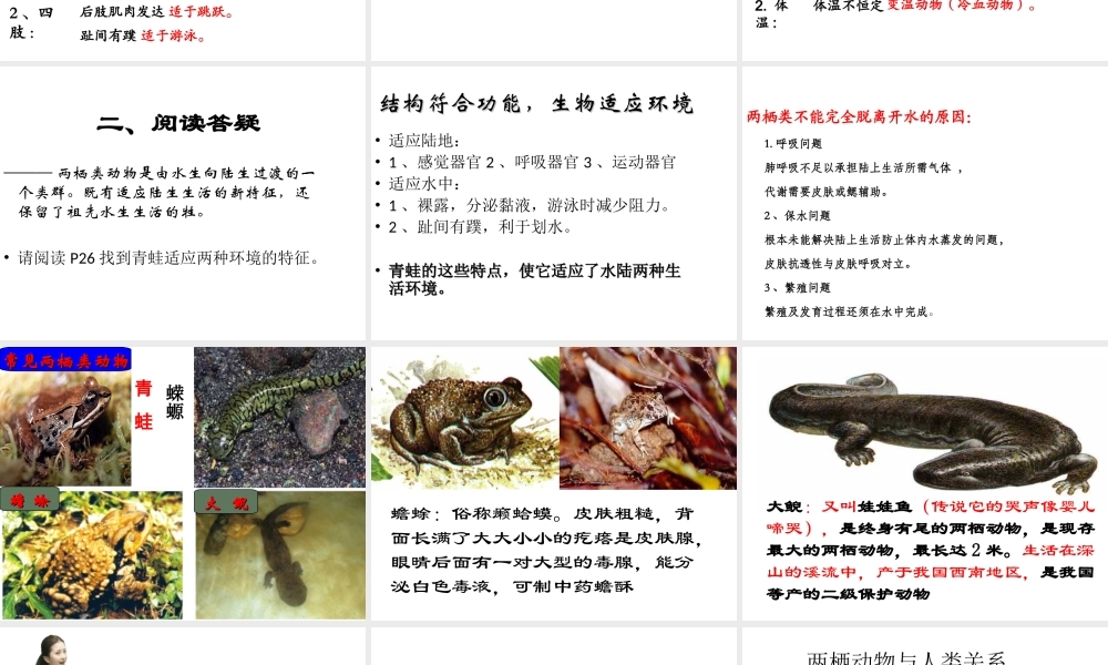 八年级生物上册 第五单元 第一章 第五节 两栖动物和爬行动物课件 （新版）新人教版-（新版）新人教级上册生物课件