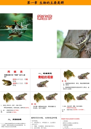 八年级生物上册 第五单元 第一章 第五节 两栖动物和爬行动物课件 （新版）新人教版-（新版）新人教级上册生物课件