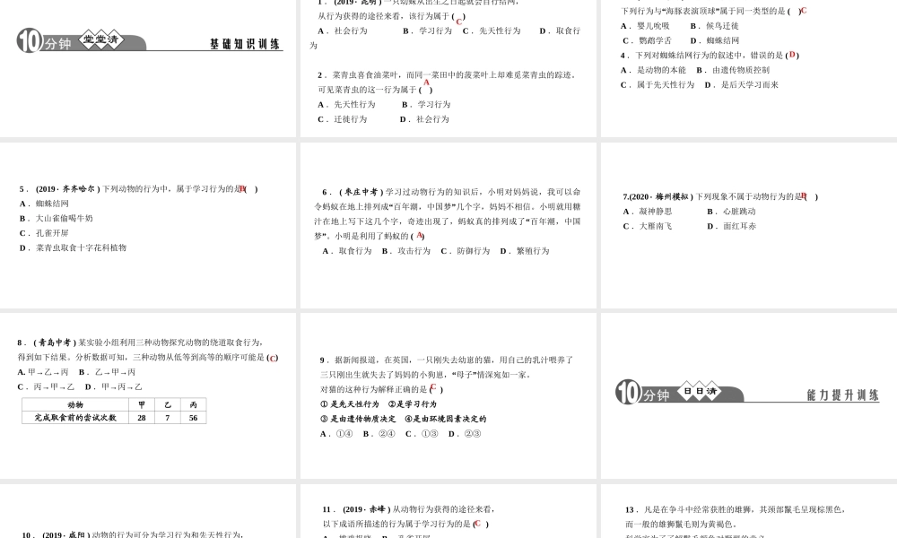 八年级生物上册 第五单元 生物圈中的其他生物 第二章 动物的运动和行为第二节 先天性行为和学习行为作业课件 （新版）新人教版-（新版）新人教级上册生物课件