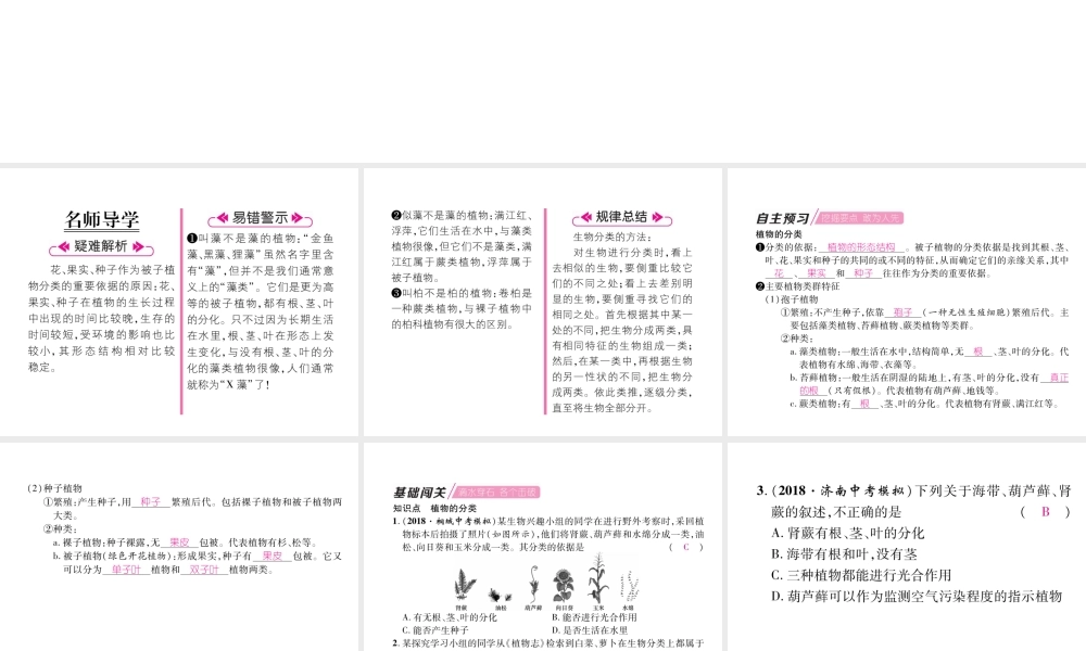 八年级生物上册 第6单元 第1章 第1节 尝试对生物进行分类（第1课时 植物的分类）练习课件 （新版）新人教版-（新版）新人教版初中八年级上册生物课件