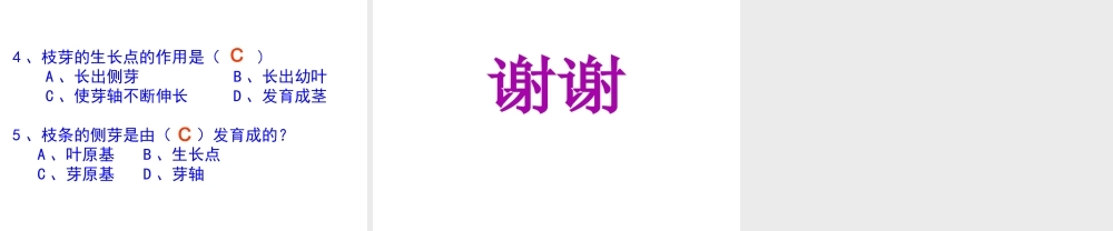 八年级生物上册 第一章 第六节 芽的类型和发育课件 济南版