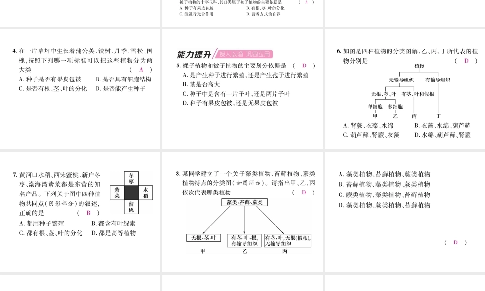 八年级生物上册 第6单元 第1章 第1节 尝试对生物进行分类（第1课时 植物的分类）练习课件 （新版）新人教版-（新版）新人教级上册生物课件