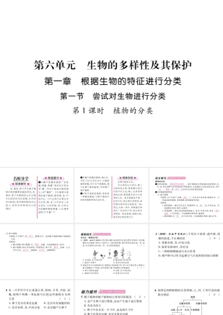 八年级生物上册 第6单元 第1章 第1节 尝试对生物进行分类（第1课时 植物的分类）练习课件 （新版）新人教版-（新版）新人教级上册生物课件