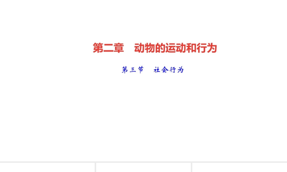 八年级生物上册 第五单元 生物圈中的其他生物 第二章 动物的运动和行为第三节 社会行为作业课件 （新版）新人教版-（新版）新人教级上册生物课件