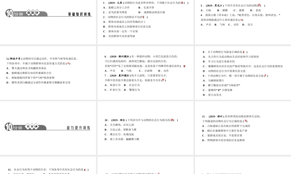 八年级生物上册 第五单元 生物圈中的其他生物 第二章 动物的运动和行为第三节 社会行为作业课件 （新版）新人教版-（新版）新人教级上册生物课件