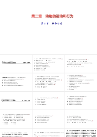 八年级生物上册 第五单元 生物圈中的其他生物 第二章 动物的运动和行为第三节 社会行为作业课件 （新版）新人教版-（新版）新人教级上册生物课件