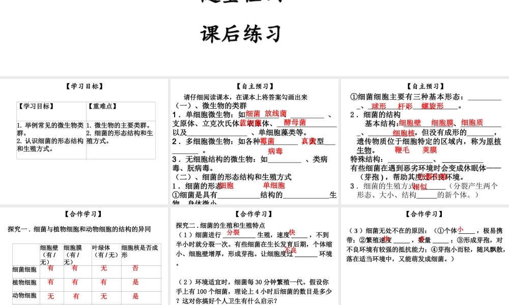 八年级生物上册 第五单元 第18章 第1节 微生物在生物圈中的作用（第1课时 细菌的形态结构）课件 （新版）北师大版-（新版）北师大级上册生物课件
