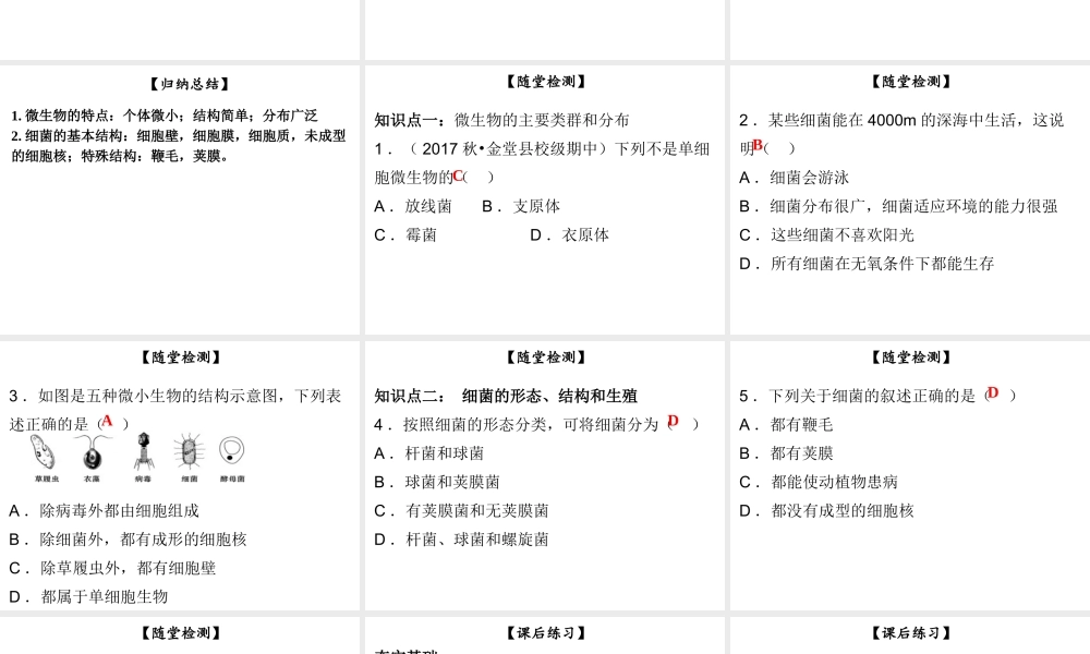 八年级生物上册 第五单元 第18章 第1节 微生物在生物圈中的作用（第1课时 细菌的形态结构）课件 （新版）北师大版-（新版）北师大级上册生物课件