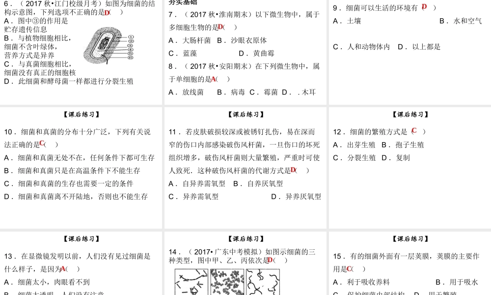八年级生物上册 第五单元 第18章 第1节 微生物在生物圈中的作用（第1课时 细菌的形态结构）课件 （新版）北师大版-（新版）北师大级上册生物课件