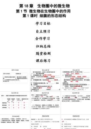 八年级生物上册 第五单元 第18章 第1节 微生物在生物圈中的作用（第1课时 细菌的形态结构）课件 （新版）北师大版-（新版）北师大级上册生物课件