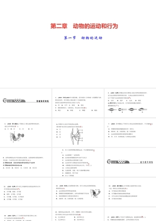 八年级生物上册 第五单元 生物圈中的其他生物 第二章 动物的运动和行为第一节 动物的运动作业课件 （新版）新人教版-（新版）新人教版初中八年级上册生物课件