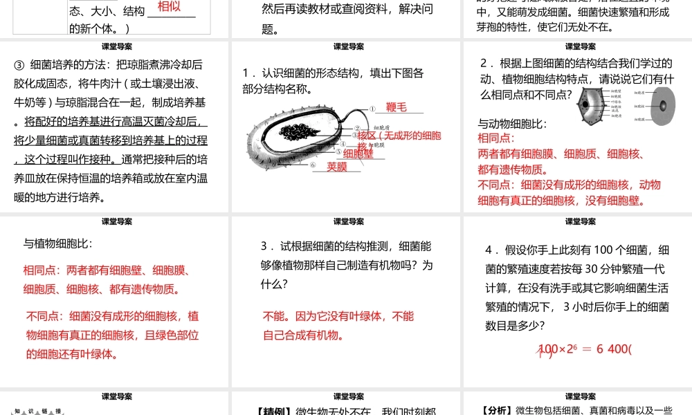 八年级生物上册 第五单元 第18章 第1节 微生物在生物圈中的作用（第1课时 细菌的形态结构）习题课件 （新版）北师大版-（新版）北师大版初中八年级上册生物课件