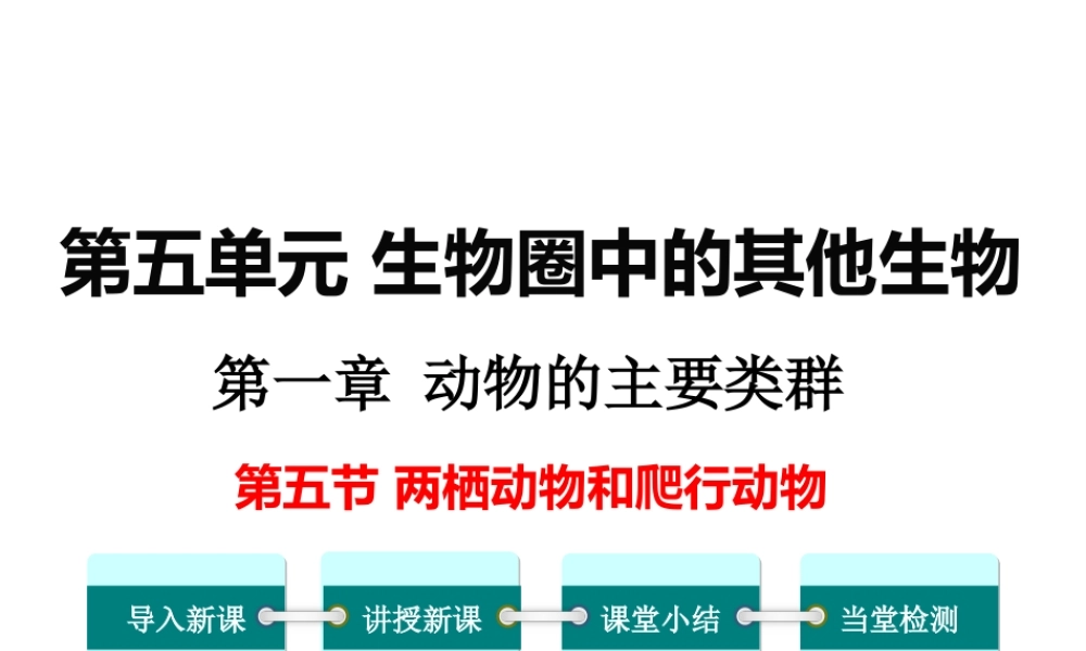 八年级生物上册 第五单元 第一章 第五节 两栖动物和爬行动物课件2 （新版）新人教版-（新版）新人教级上册生物课件