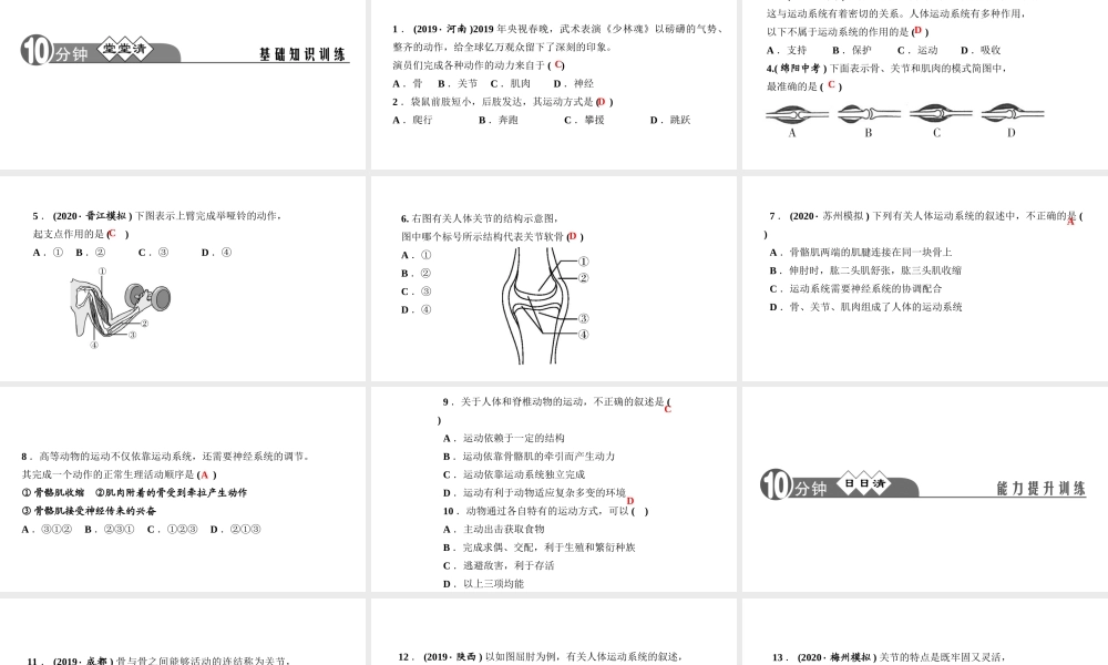 八年级生物上册 第五单元 生物圈中的其他生物 第二章 动物的运动和行为第一节 动物的运动作业课件 （新版）新人教版-（新版）新人教级上册生物课件