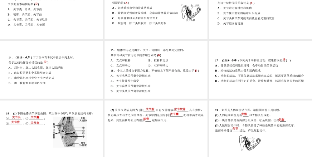 八年级生物上册 第五单元 生物圈中的其他生物 第二章 动物的运动和行为第一节 动物的运动作业课件 （新版）新人教版-（新版）新人教级上册生物课件