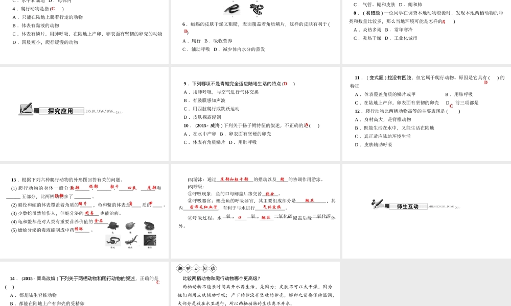 八年级生物上册 第五单元 第一章 第五节 两栖动物和爬行动物习题课件 （新版）新人教版-（新版）新人教级上册生物课件