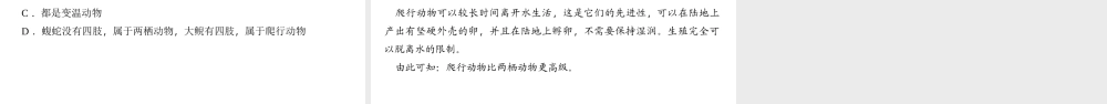 八年级生物上册 第五单元 第一章 第五节 两栖动物和爬行动物习题课件 （新版）新人教版-（新版）新人教级上册生物课件