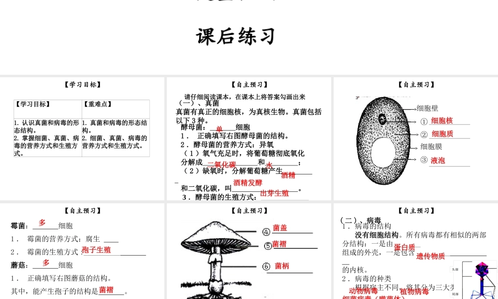 八年级生物上册 第五单元 第18章 第1节 微生物在生物圈中的作用（第2课时 细菌、真菌、病毒及营养方式）课件 （新版）北师大版-（新版）北师大级上册生物课件
