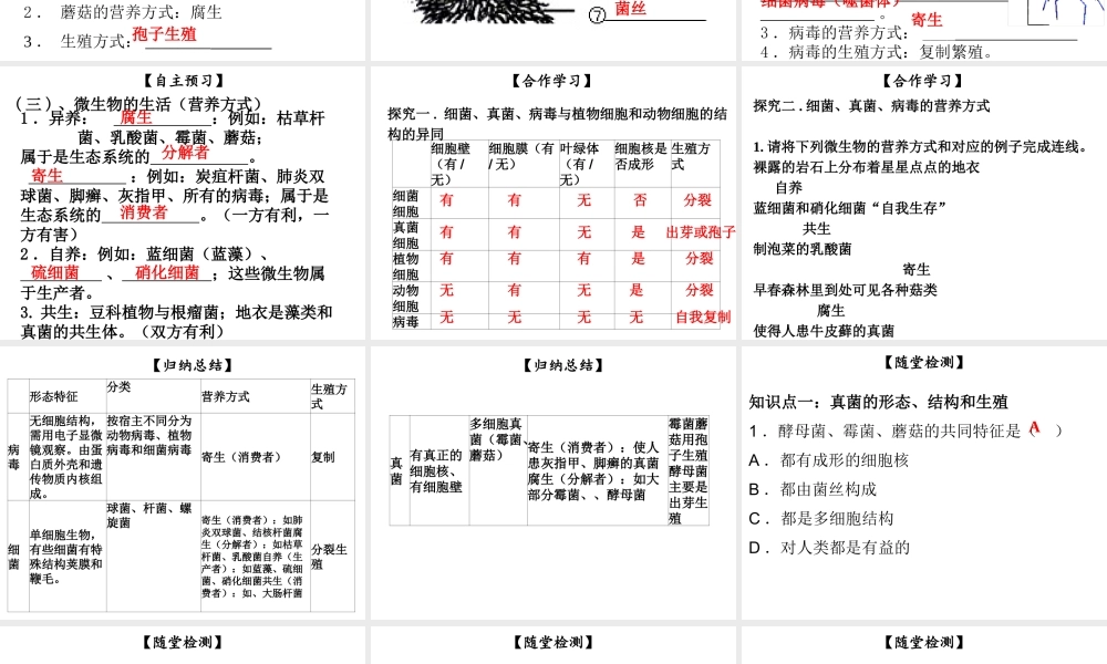 八年级生物上册 第五单元 第18章 第1节 微生物在生物圈中的作用（第2课时 细菌、真菌、病毒及营养方式）课件 （新版）北师大版-（新版）北师大级上册生物课件