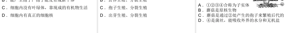 八年级生物上册 第五单元 第18章 第1节 微生物在生物圈中的作用（第2课时 细菌、真菌、病毒及营养方式）课件 （新版）北师大版-（新版）北师大级上册生物课件