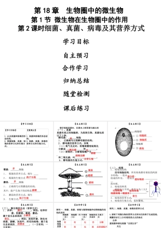 八年级生物上册 第五单元 第18章 第1节 微生物在生物圈中的作用（第2课时 细菌、真菌、病毒及营养方式）课件 （新版）北师大版-（新版）北师大级上册生物课件