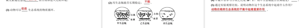 八年级生物上册 第五单元 生物圈中的其他生物 第三章 动物在生物圈中的作用作业课件 （新版）新人教版-（新版）新人教版初中八年级上册生物课件