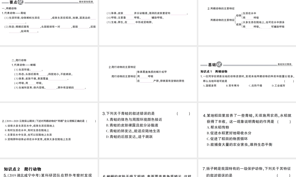 八年级生物上册 第五单元 第一章 第五节 两栖动物和爬行动物作业课件 （新版）新人教版-（新版）新人教版初中八年级上册生物课件