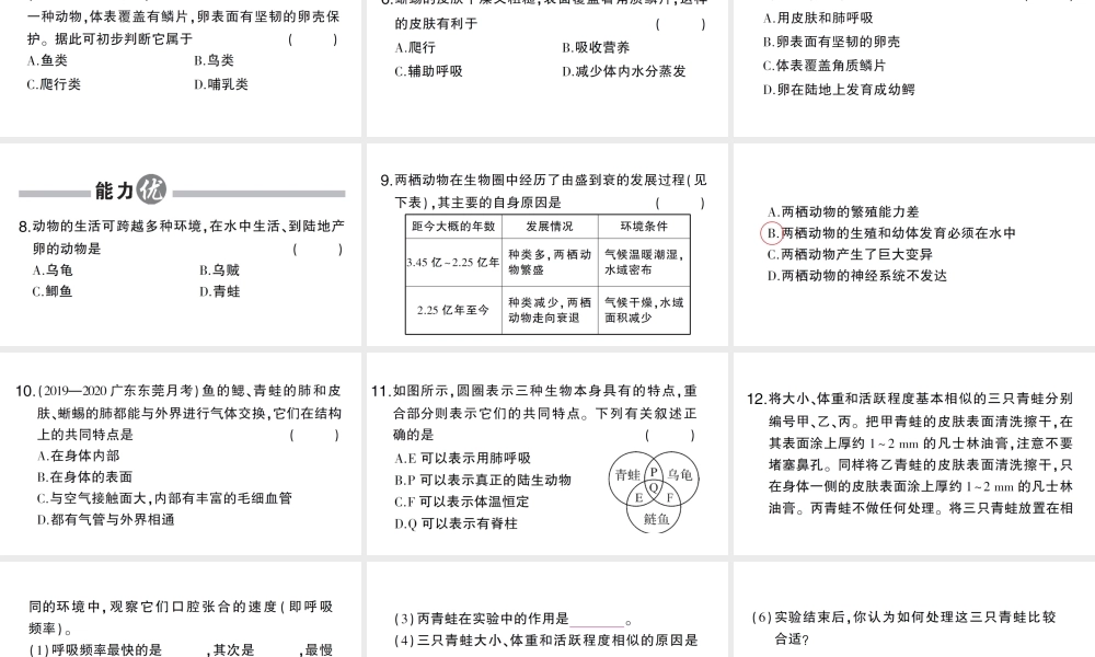 八年级生物上册 第五单元 第一章 第五节 两栖动物和爬行动物作业课件 （新版）新人教版-（新版）新人教版初中八年级上册生物课件