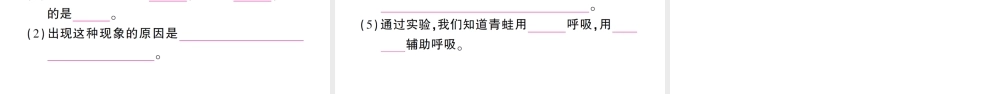 八年级生物上册 第五单元 第一章 第五节 两栖动物和爬行动物作业课件 （新版）新人教版-（新版）新人教版初中八年级上册生物课件