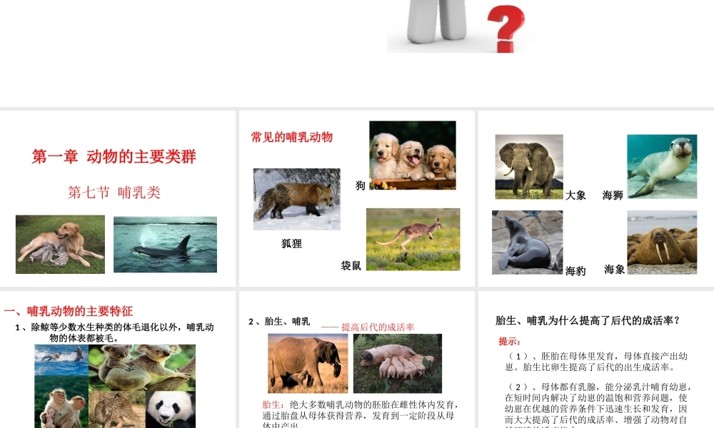 八年级生物上册 第一章 第七节 哺乳类课件 （新版）新人教版