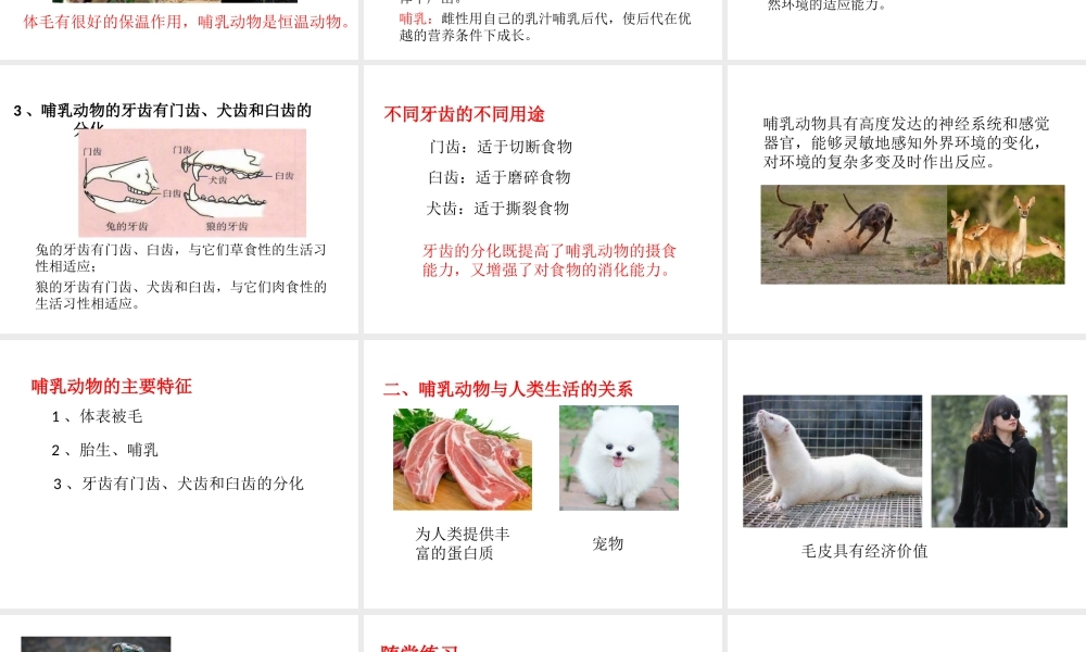 八年级生物上册 第一章 第七节 哺乳类课件 （新版）新人教版