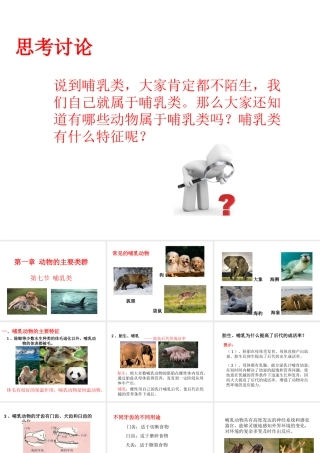 八年级生物上册 第一章 第七节 哺乳类课件 （新版）新人教版