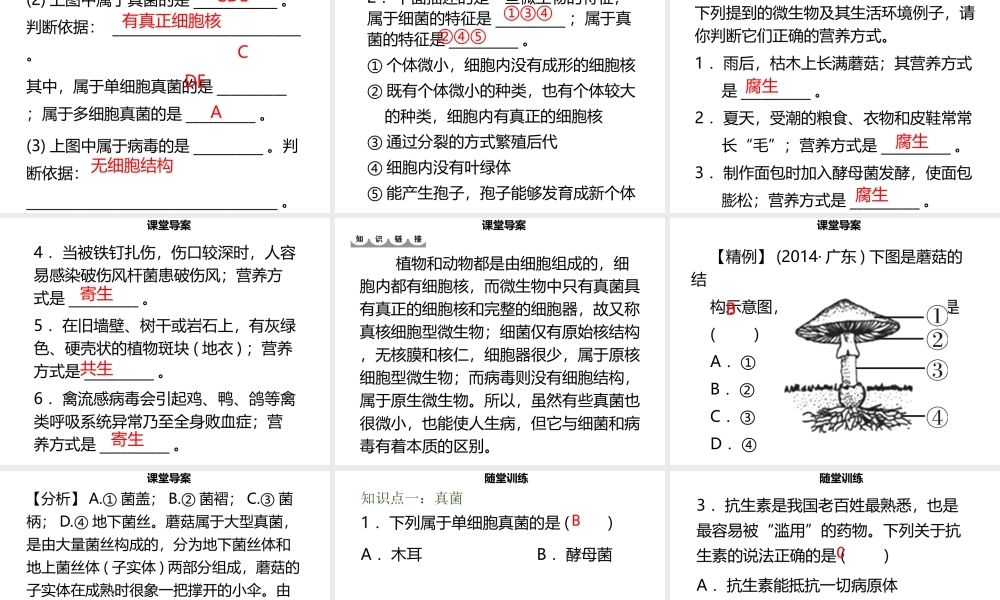 八年级生物上册 第五单元 第18章 第1节 微生物在生物圈中的作用（第2课时 细菌、真菌、病毒及营养方式）习题课件 （新版）北师大版-（新版）北师大版初中八年级上册生物课件