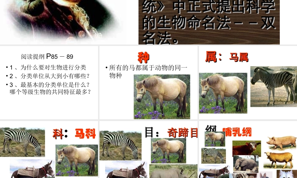 八年级生物上册 第6单元 第1章 根据生物的特征进行分类 第二节 从种到界课件 新人教版